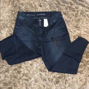 Lane Bryant, Plus Size Jeans